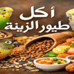 اكل طيور الزينة