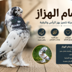 الحمام الهزاز: دليل شامل للتربية والعناية وأهم المميزات
